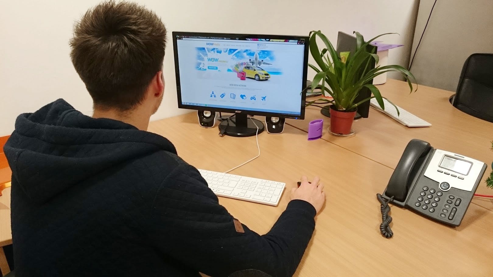 Plant on office desk